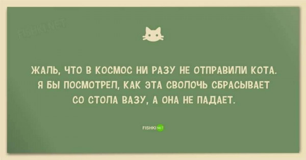 Fenya123's tweet photo. https://t.co/53PBrYHdU8