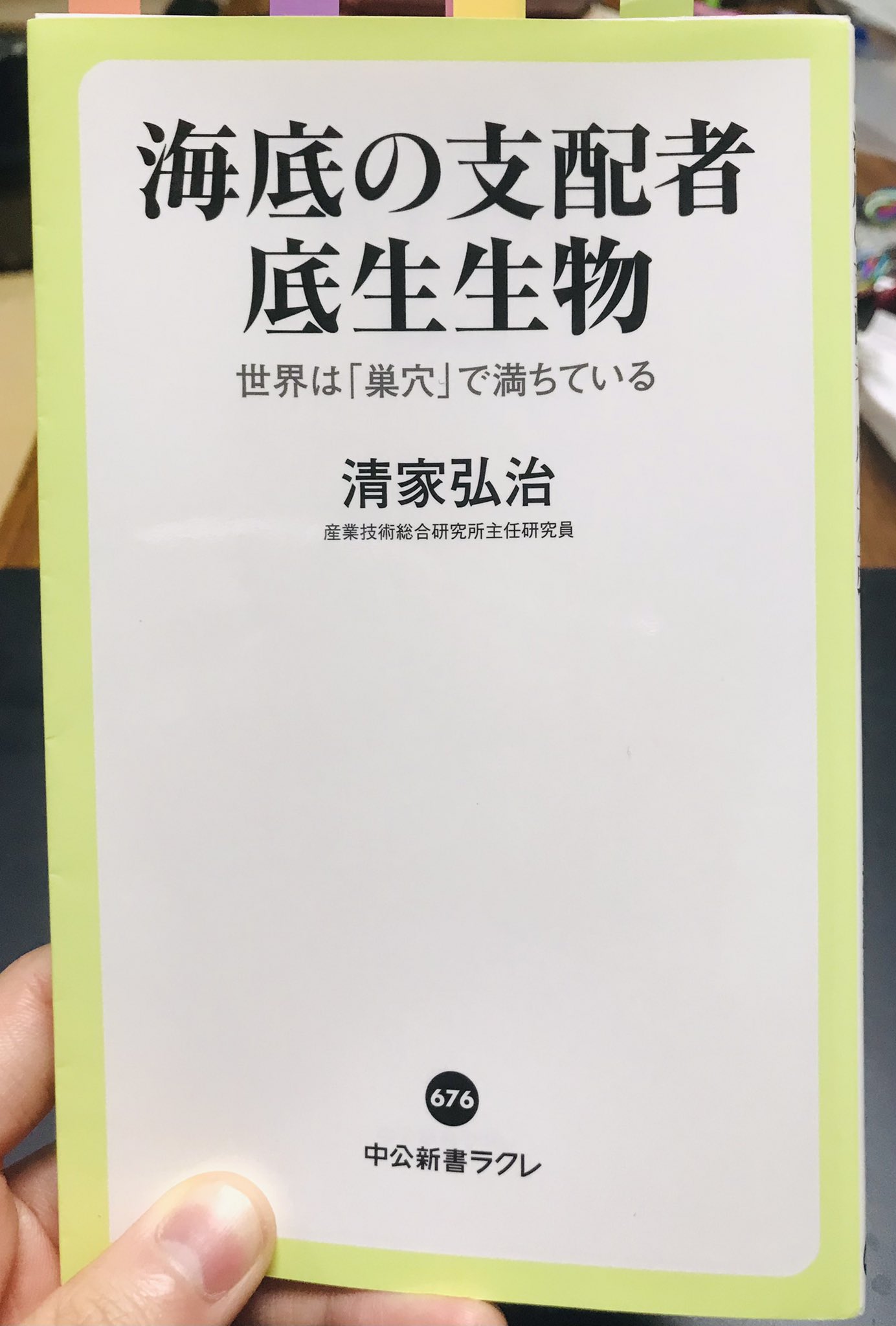 でんか 海底の支配者底生生物 生痕化石には学名がつく 賢くなった 生物がいなそうな砂浜でもとりあえず掘ってみよう アナジャコ シャコ スナモグリ アナエビ テッポウエビ スナガニ 寄生二枚貝 オフェリアゴカイ類 オカメブンブクを例に巣