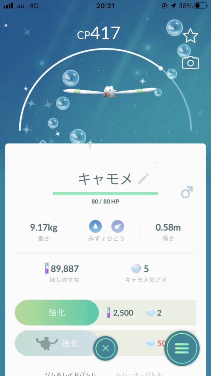 ポケモンgo キャモメの色違い 入手方法と実装状況 攻略大百科 ポケモンgo キャモメの色違い 入手方法と実装状況 攻略大百科