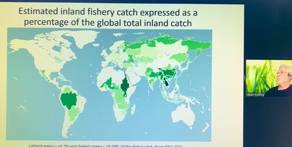 Did you know how important #smallfish is? Tune in today and tomorrow to our two-day workshop on small low-cost fish: from bait to plate driedfishmatters.org/smallfishsemin…  <a href="/FAOfish/">Fisheries & Aquaculture</a>