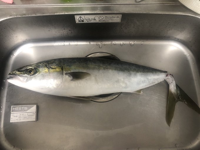 ハマチのtwitterイラスト検索結果