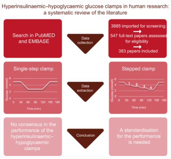 The hyperinsulinaemic–hypoglycaemic clamp procedure is considered the gold standard to study experimental hypoglycaemia. This systematic review shows considerable variation in the methodology of clamp protocols. #Hypo-Resolve #Hypoglycaemia #clamp bit.ly/3dbVJ9R 🔓