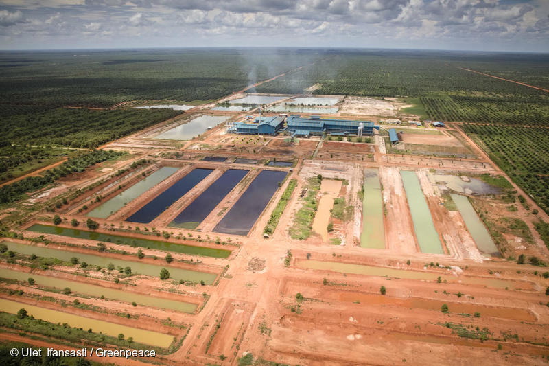 GreenpeaceID's tweet image. Tetapi kita perhatikan, bahwa sebagian besar pelaku (perusahaan) perusak hutan yang masuk daftar tersebut merupakan perusahaan yang juga muncul dalam daftar “Produsen Kotor” di pasar global.*

*laporan “Greenpeace International: bit.ly/hitungmundurte…