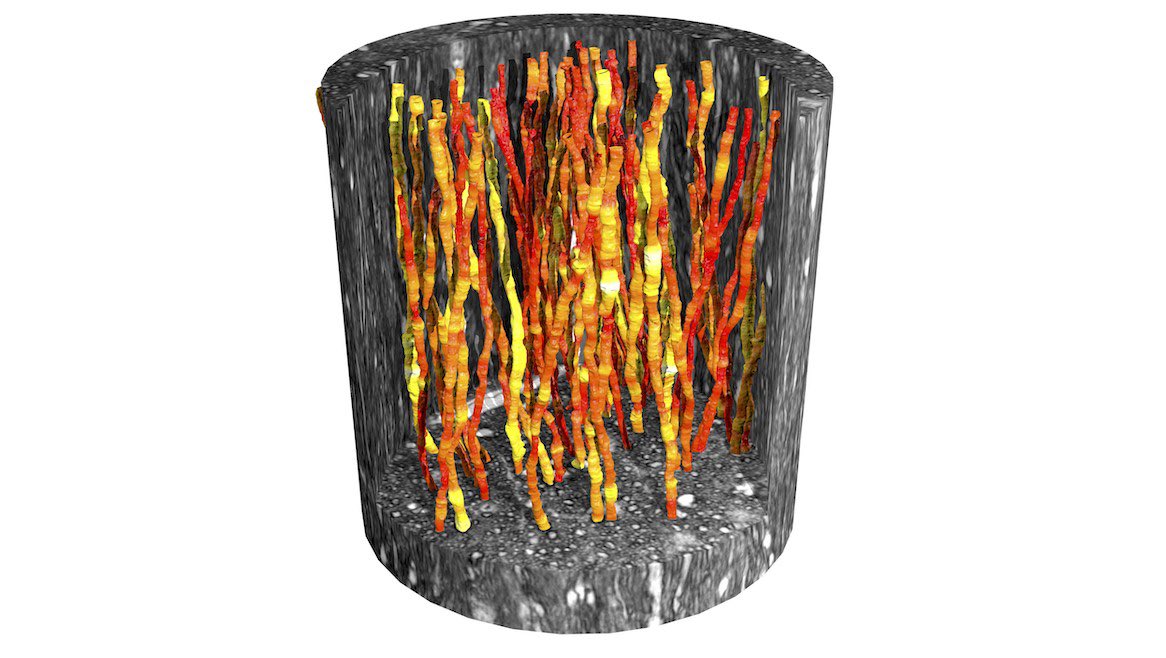 #SpotlightonScience A study in @PNAS shows that nano-imaging of the brain’s communication cables at beamline <a href="/id16a/">ID16A@ESRF</a> could lead to better ways of diagnosing neuro-degenerative disease. 
▶️ bit.ly/3d8QLe6