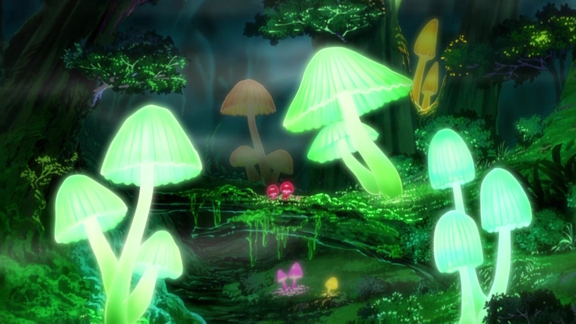アニメ ポケットモンスター 公式 アニポケ 豆知識 ルミナスメイズの森 ガラル地方のラテラルタウンとアラベスクタウンを繋ぐ不思議な森 光るキノコが生えている幻想的な場所です この森には ガラルのすがたの ポニータ ギャロップ の