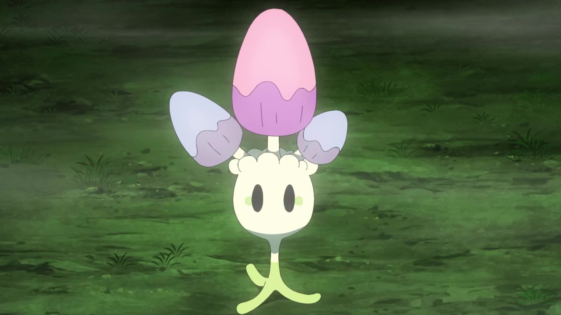 アニメ ポケットモンスター 公式 アニポケ 豆知識 ルミナスメイズの森 ガラル地方のラテラルタウンとアラベスクタウンを繋ぐ不思議な森 光るキノコが生えている幻想的な場所です この森には ガラルのすがたの ポニータ ギャロップ の他