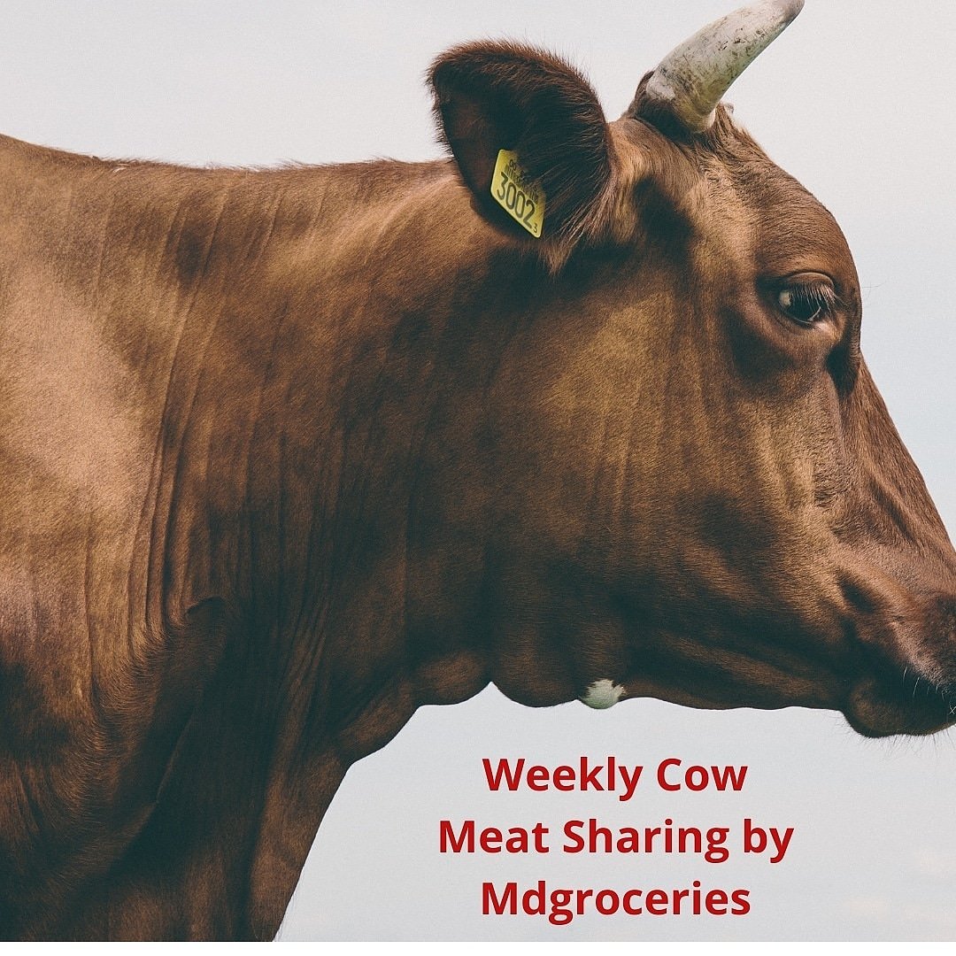 mdgroceries's tweet photo. Weekly Cow meat Sharing.
Cow sharing will take place on Saturday this week.
20 people to share one full cow and all parts will be shared equally.

Note: we do not receive or take order on Twitter. 
You can only place order on WhatsApp 07088439739  or on our IG page @mdgroceries https://t.co/QFOLPZuPBS