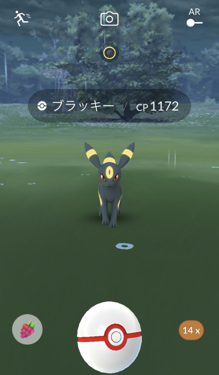 Ht ポケモンgo Comemanaders002 Twitter Ht ポケモンgo Comemanaders002 Twitter