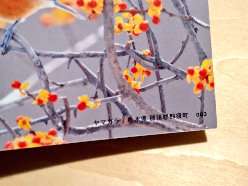 تويتر いちごひめ على تويتر Tintsf 自然が豊かである証拠ですからね みんなで守って行きたいですよね