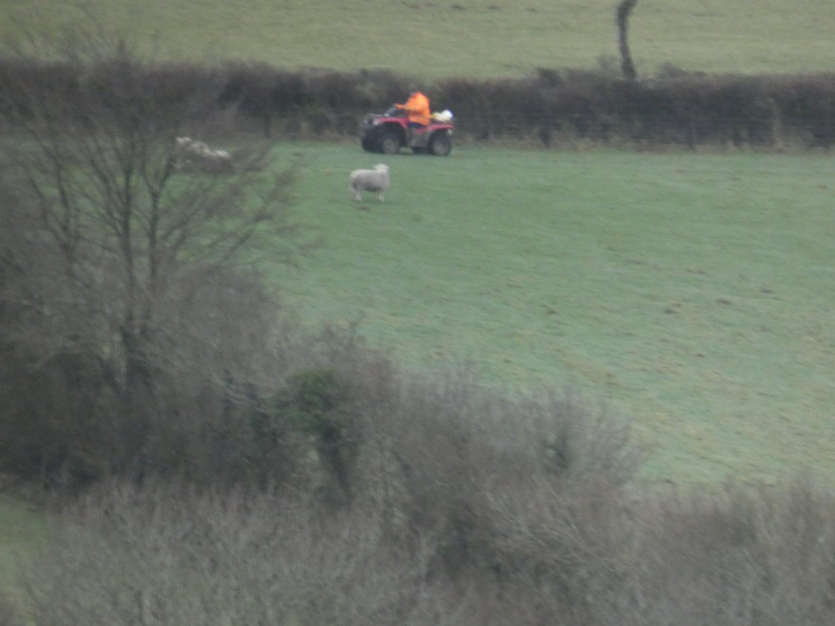 It can be a very lonely isolated work-place. Talk to us free 116123 <a href="/samaritans/">Samaritans</a>
<a href="/CornwallYFC/">Cornwall YFC</a> <a href="/yellowwelliesuk/">Farm Safety Foundation</a> #cornwall #Farmers <a href="/2MinuteFarmer/">2MinuteFarmer</a>