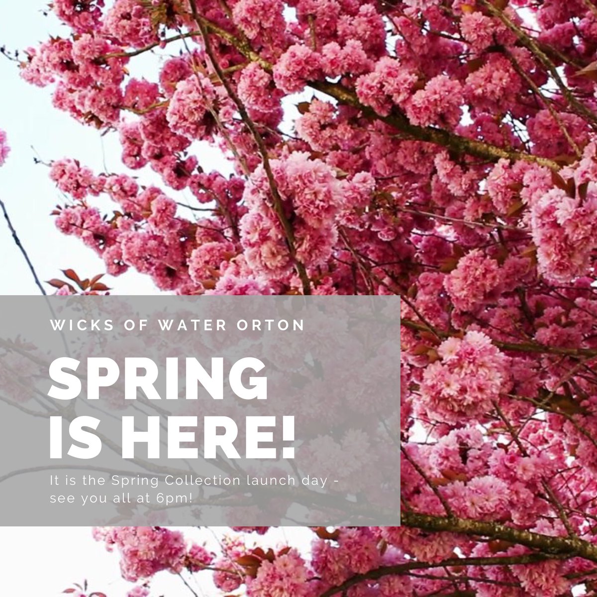 Wicks Of Water Orton - fragranced SOY wax tweet media