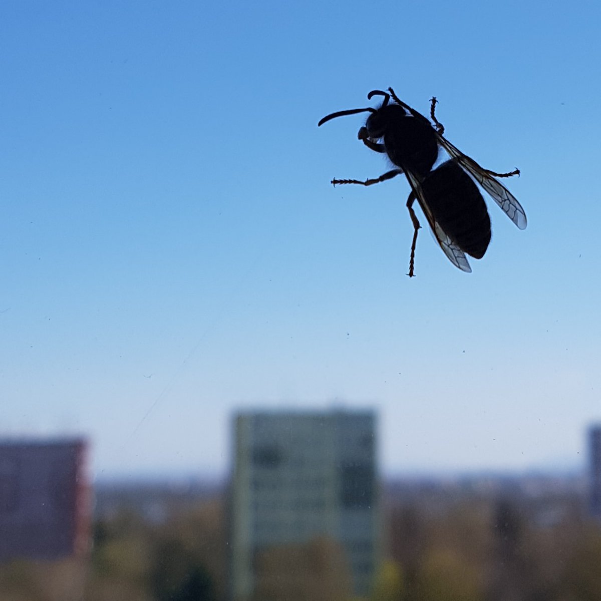 DEROVA4's tweet image. derova.cz
👍