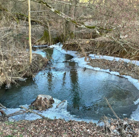 YouTube-Yoga-Videos. Was würdet Ihr denn gerne als nächstes sehen ?
1. Aum- bzw. Om-Mantra
2. #Bienenatmung (Stärkt die Thymusdrüse und das Immunsystem)
3. #Kapalabhati-Atmung 
4 #Wechselatmung
5. Lichtvisualisierung

Bitte abstimmen auf facebook.com/jarmila.ambros…