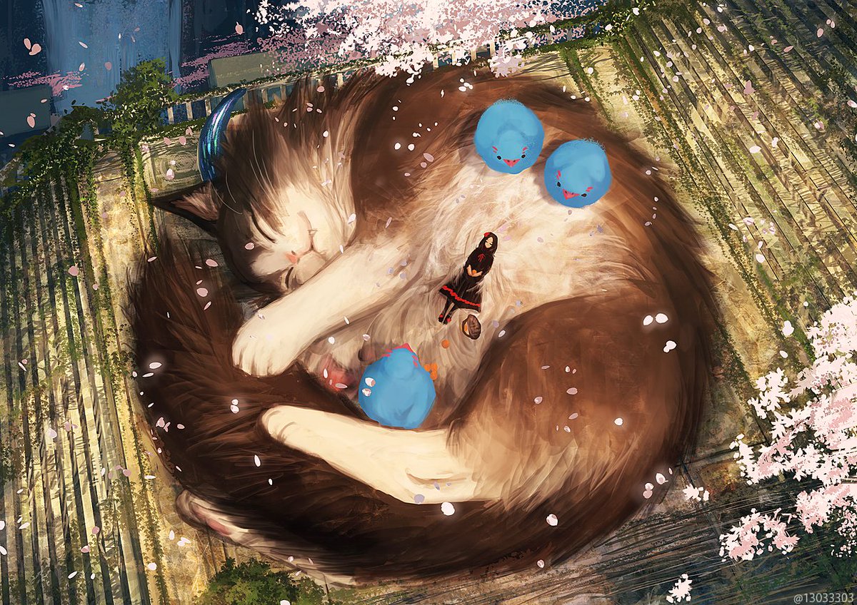 sleeping cat oversized animal cherry blossoms petals animal closed eyes  illustration images