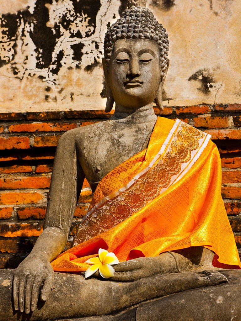 DowneHouseRS's tweet photo. Today is Parinirvana Day- a happy day which celebrates Gautama Buddha's passing from Samsara, and his achievement of Nibbana/ Enlightenment.
All of us at @DowneHouse wish our Buddhist family and friends a day filled with deep peace and great joy. #Buddhism #ParinirvanaDay @sgiuk https://t.co/DRwc1K0ZzT