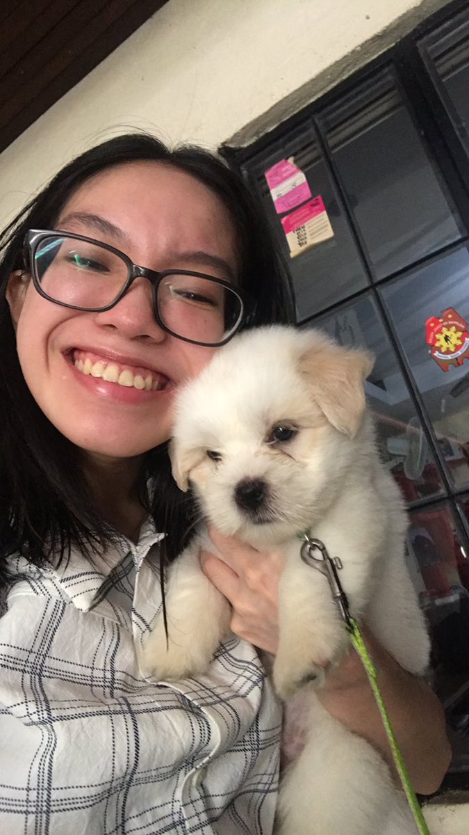 ecmkhu's tweet photo. Mama’s babies ❤️ 

Olly
-Male
-Oldest (12/06/20) 
-2.5kg 

Elly
-Female
-Baby sis to Olly (12/20/20) 
-.95kg https://t.co/ubidltI5p0