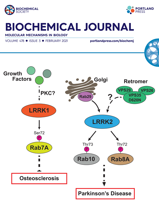 mrcppu's tweet photo. Asad Malik's study comparing the #LRRK1 and #LRRK2 pathways makes the cover of the most recent issue of the Biochemical Journal https://t.co/wg2TEy06cG @PPPublishing https://t.co/v4Q8VcR587