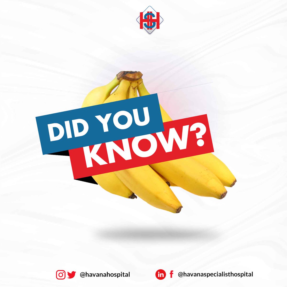 havanahospital's tweet photo. Because Bananas are rich in potassium, they help the body’s circulatory system deliver oxygen to the brain. This also helps the body maintain a regular heartbeat, lower blood pressure and a proper balance of water in the body
#mondayhealth #healthtip #bananafact #fruit #medicine https://t.co/lSs8iTfy2x