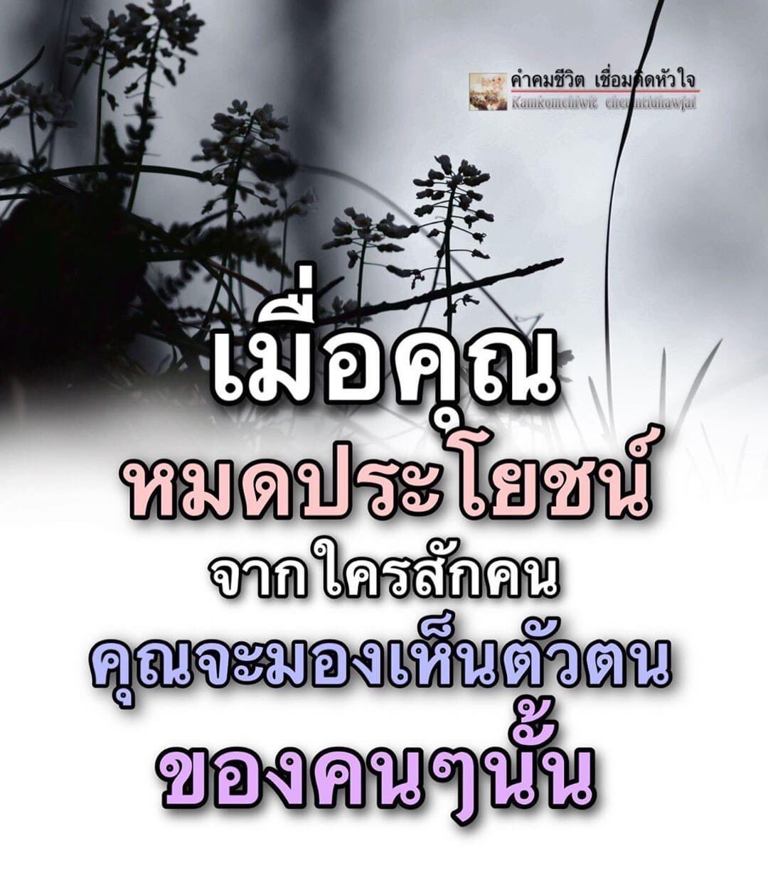 ทางของฉัน#ฝันของเธอ on X: ทางของฉัน#ฝันของเธอ On X: