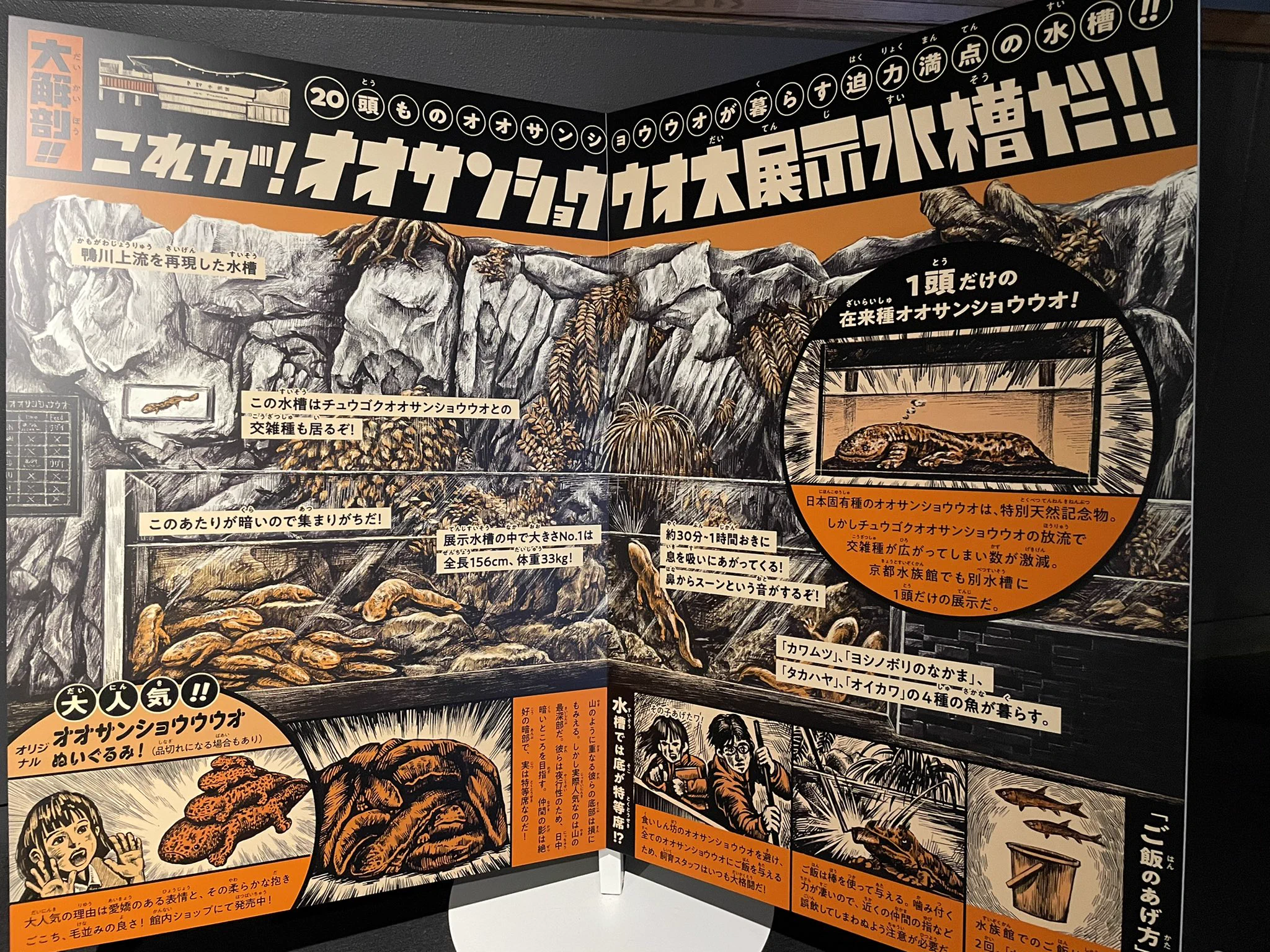 京都水族館のオオサンショウウオブースが凄い！ファン層をがっちり掴むデザインに見惚れる！