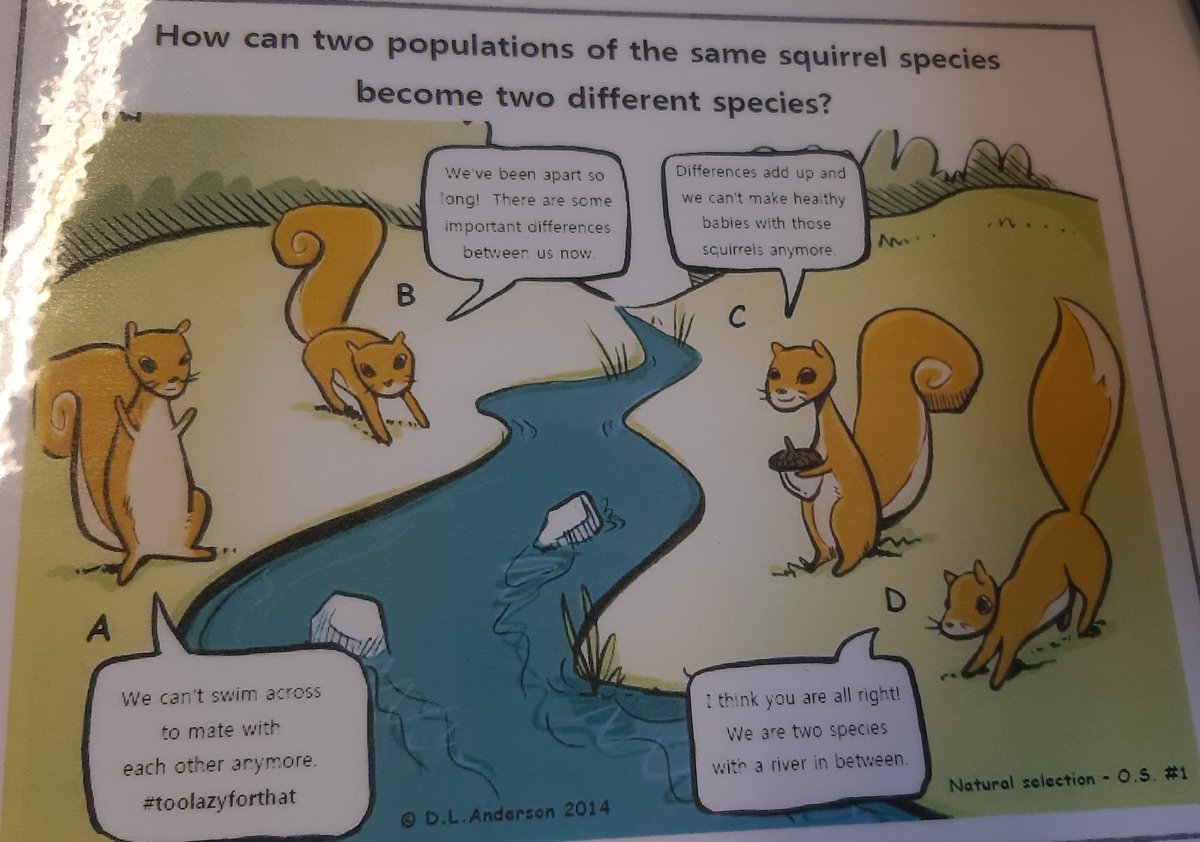 evermoresluut's tweet photo. what even is this? this is our english class๐ญ๐ญ #toolazyforthat https://t.co/1gIZPc1fnR
