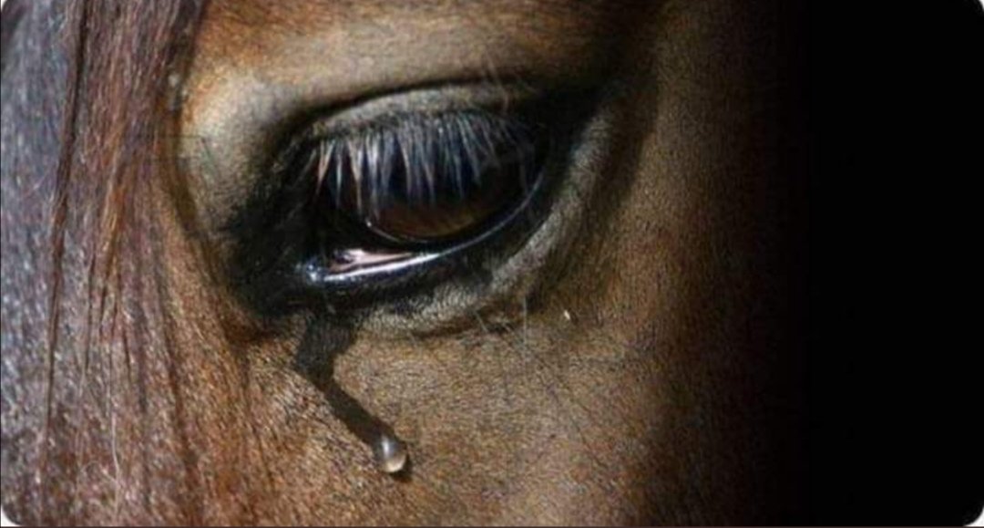 Ben mi iyileşmeyen yarayım
Herkes mi keskin bıçak. 🥀🥺