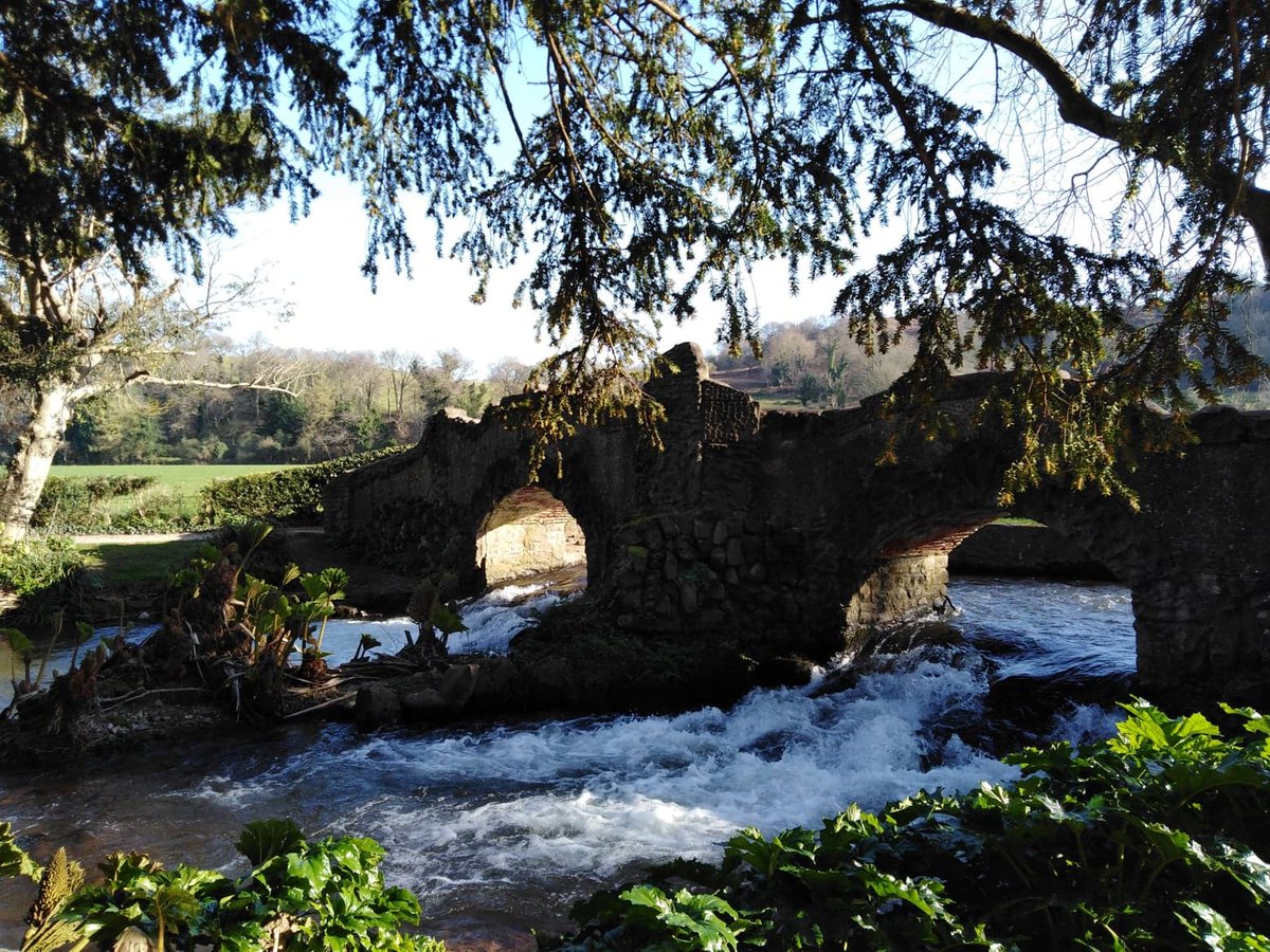 DunsterCastleNT's tweet photo. Lover's Bridge and the rushing River Avill are today's #MondayMorningView. Come and make the most of the weather for your local walk today, there's plenty of space today but if you'd like to visit later in the week please book at https://t.co/wwckULMPs4 or call 0344 249 1895. https://t.co/eZU3Q8gOCH