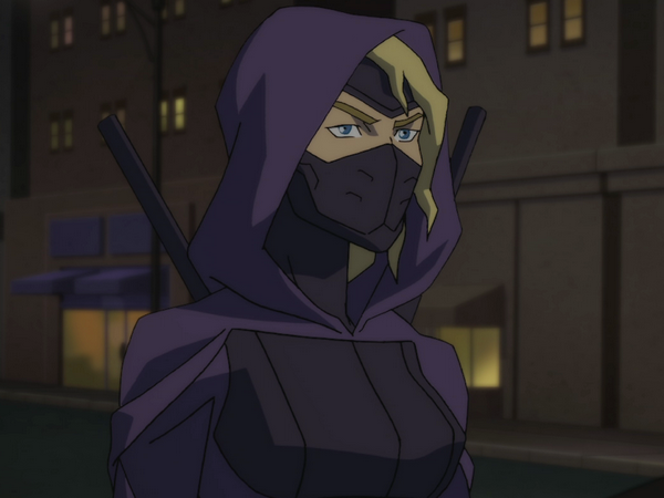 6. Young Justice TV Show Steph