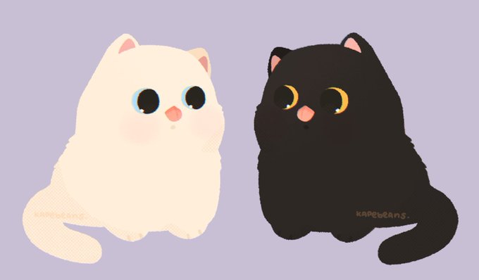 「黒猫 白い猫」のTwitter画像/イラスト(人気順)