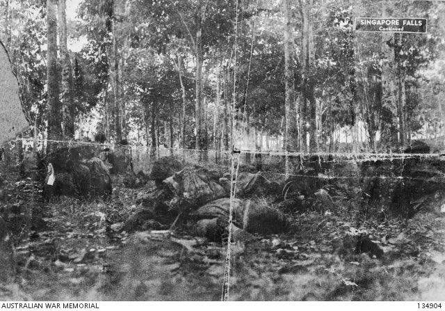 1942年の今日はシンガポールのイギリス軍が日本軍に降伏した日。
マレー半島の南端に到達した日本軍は橋を爆破されて一時的に進撃が止まったがすぐに襲撃部隊を順次送り込んで徐々に占領域を増やしていった。
最終的に英軍は水源、武器弾薬の集積場所を奪われた事で継戦能力を失った。 