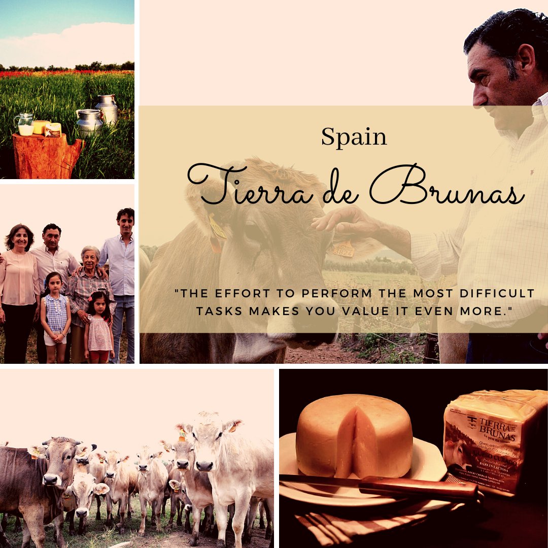 MILKed_project's tweet photo. Did you know that you can produce #lactosefree #milk, without adding #lactase? We don't know the secret, but maybe you can find it out in this Case study from Spain 🇪🇸, where they have developed the technological procedure to do so... 
https://t.co/t3hnQamjTF #Erasmusplus https://t.co/Vxo8ThTBh2