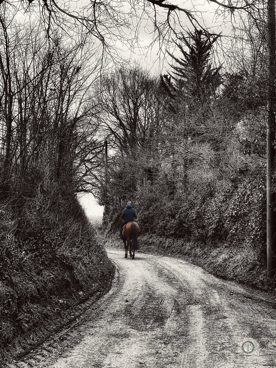 photodgraphy's tweet photo. Everyday is a good day when your riding your horse! 

#horse #trending #horseriding #Horselover #pictureperfect #pictureofahorse #Devon #Southwest #Happyday #Nature #wildlife #Riding #happyplace #animalcrossing #coloursplash https://t.co/QceLapvsHr