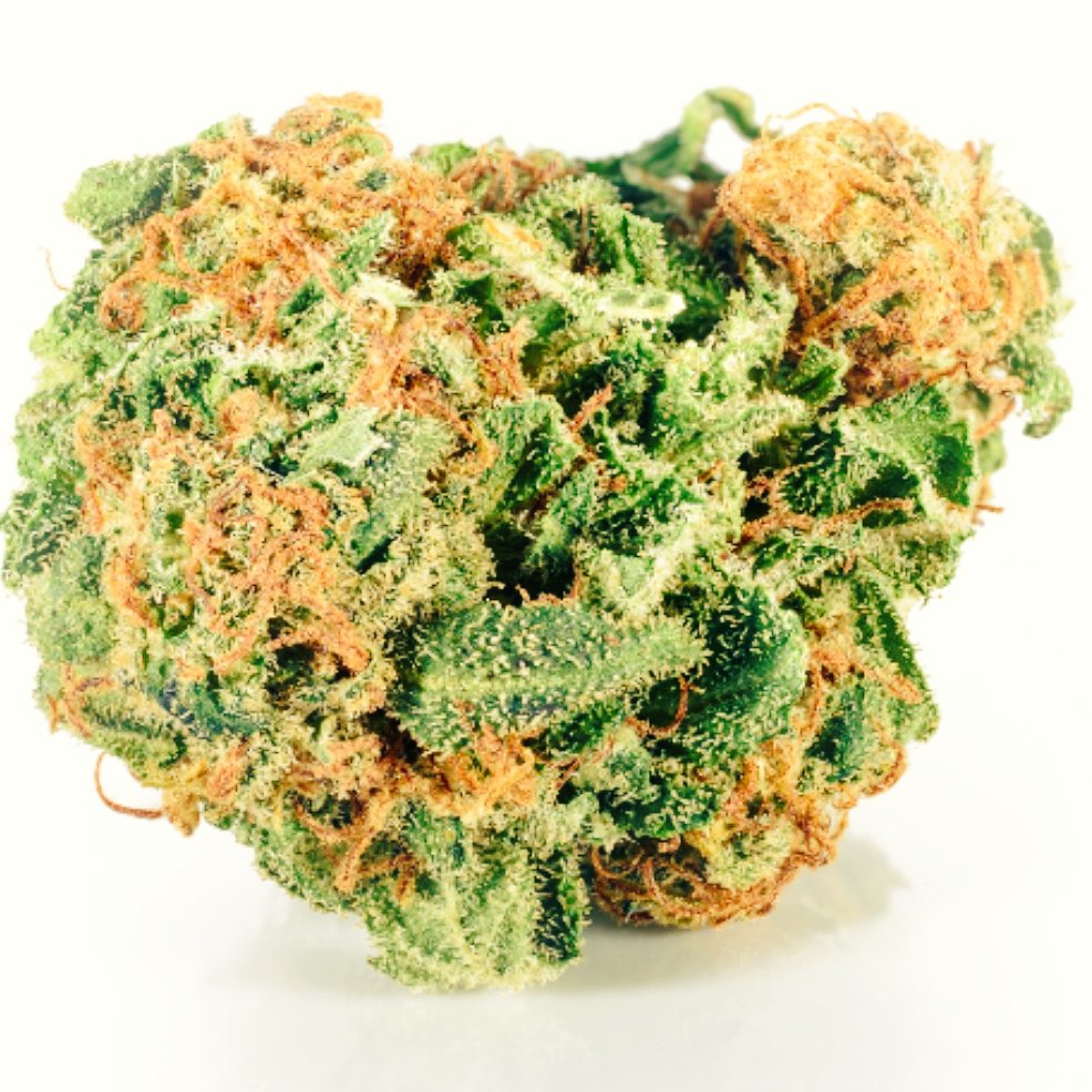 BeastCbd's tweet image. Os queremos traer cosas interesantes ☀️