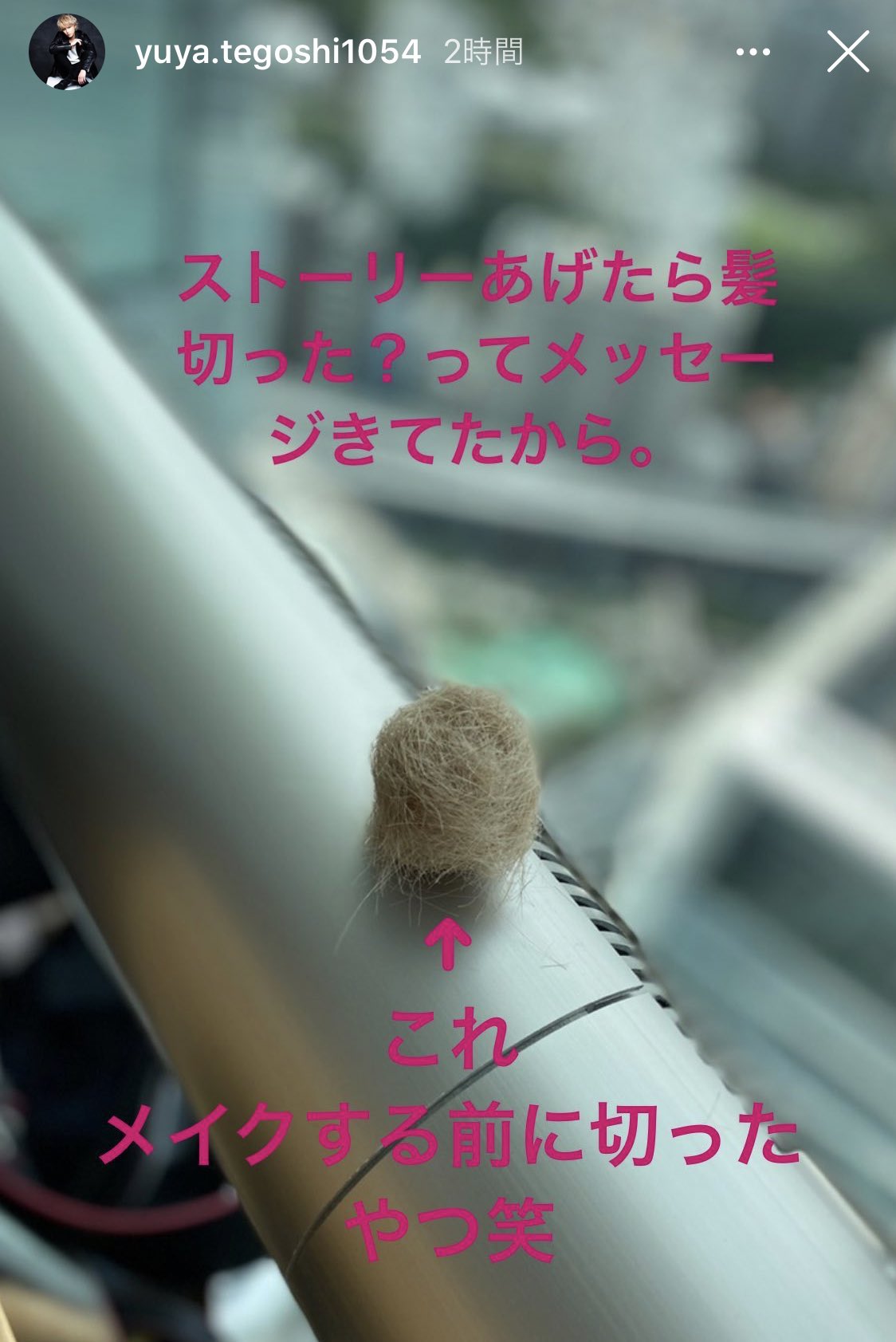 Webに切った髪の毛玉 載せるジェシーちゃん 前にてごちゃんも自分の毛玉 インスタに載せてた 自分の毛玉載せがちな自担たち W T Co F3gtasyuct Twitter