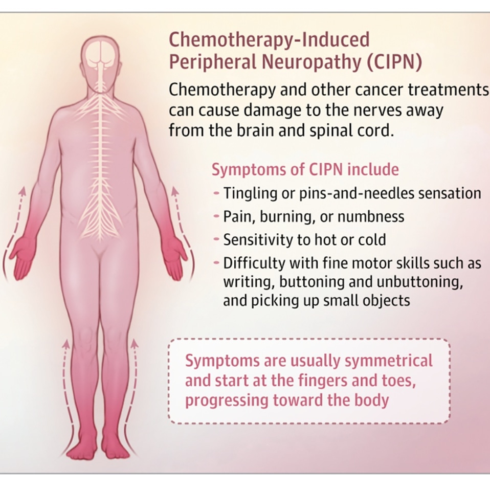 Gaby Miller, PT tweet media