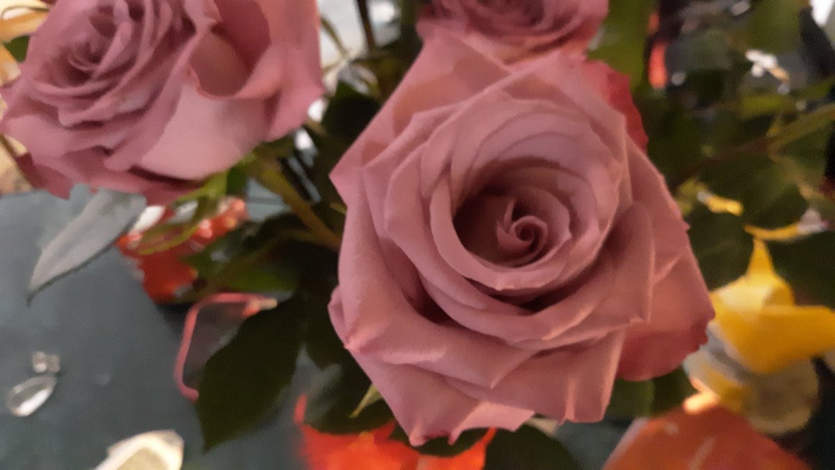 pinkeagle1980's tweet photo. @metheridge Melissa Thankyou for a Beautiful Valentine show. My request. #TUESDAYCOVER
 YOUR SONG, PRECIOUS AND FEW, LONGER,ANNIE SONG. Thanks https://t.co/ToRv4F1a6G