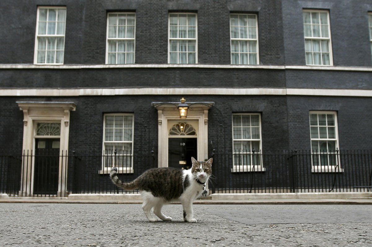 How many more Prime Ministers will Larry see walk through that famous door for the first time... and last? It's been an action packed ten years for Larry. Here's to the next ten! Read our article for the full story:  https://www.telegraph.co.uk/news/2021/02/15/larry-cats-10-years-no-10/