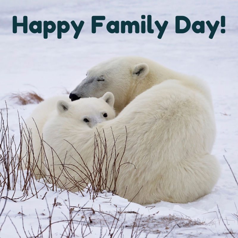 Happy Family Day from the CCOC family to yours!