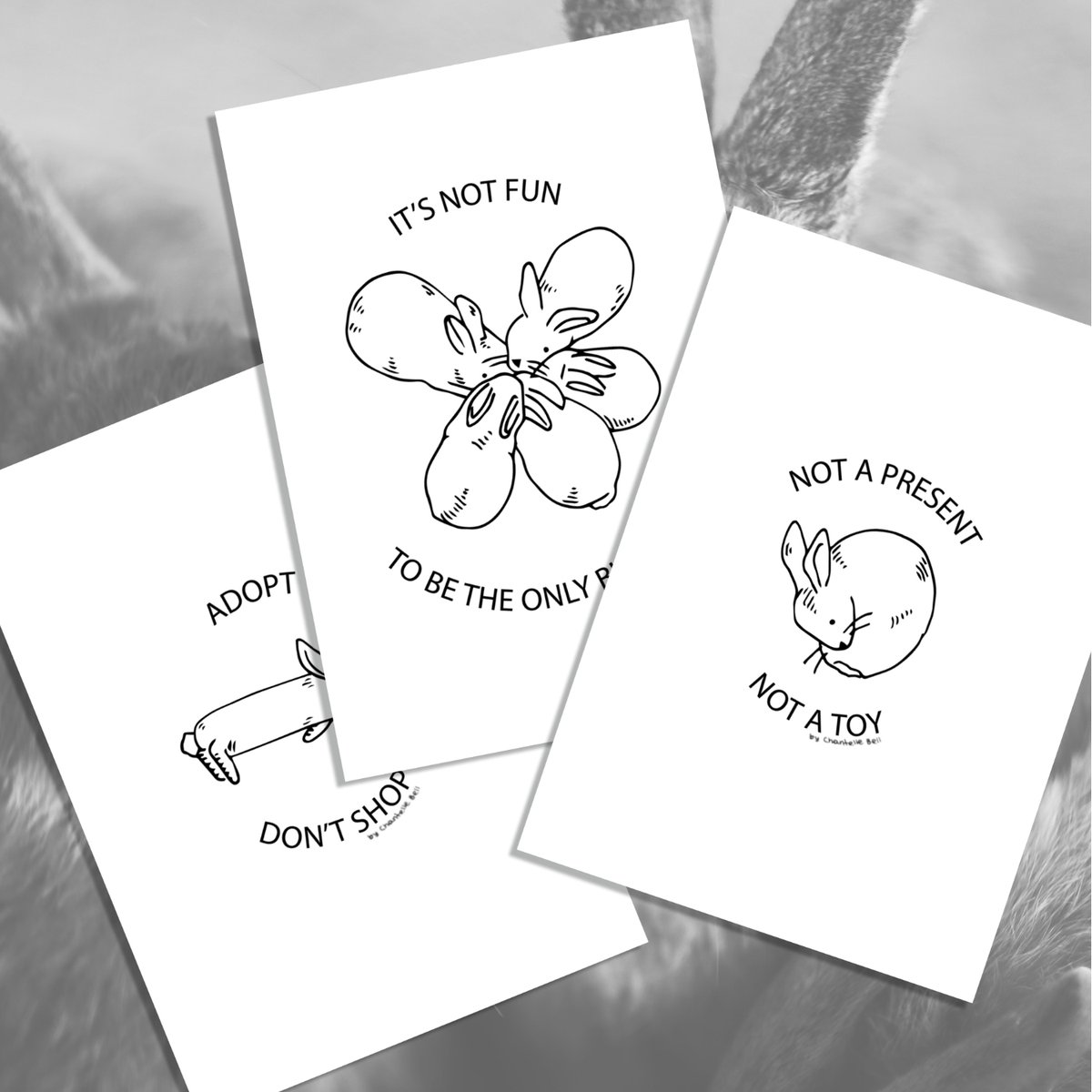 🐰New product on my shop 🐇

chantellebell.com/shop-en/rabbit