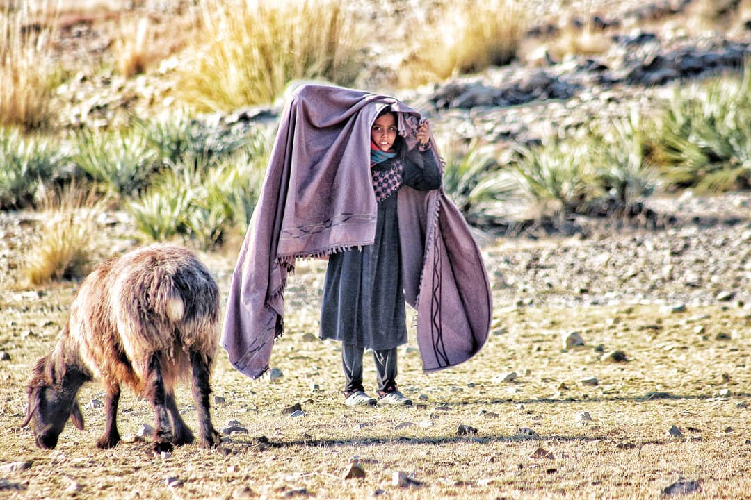 mardanmandokhel's tweet photo. وطـن   دې   تـل   ګل   ګـلـزار   وي
چې پښتانه بچي مو واخلي ترې خوندونه! https://t.co/eXVLWT5Y3n