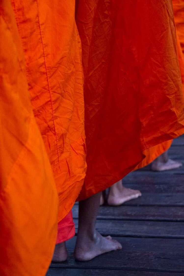 ‘All the elements for your happiness are already here. There is no need to run, strive, search, or struggle. Just Be.’ -Thich Nhat Hanh