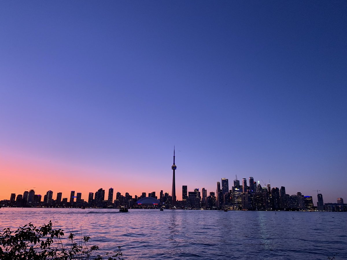 KC genesio tweet media