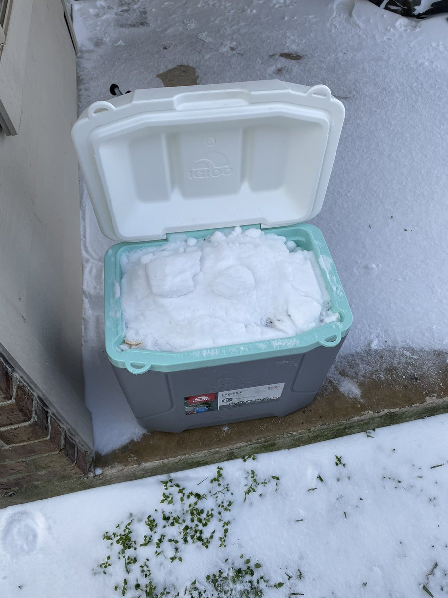 Erika Berk tweet media