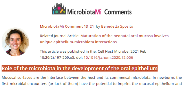 #MicrobiotaMiComment by Benedetta Sposito "Role of the #microbiota in the development of the oral epithelium" microbiotami.com/2021/02/15/rol…