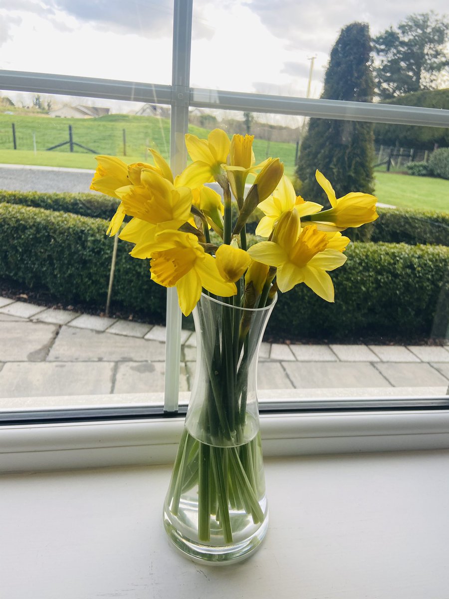 #Daffodils #StretchInTheEvening #HomeOffice #KeepingPositive #MondayMotivation