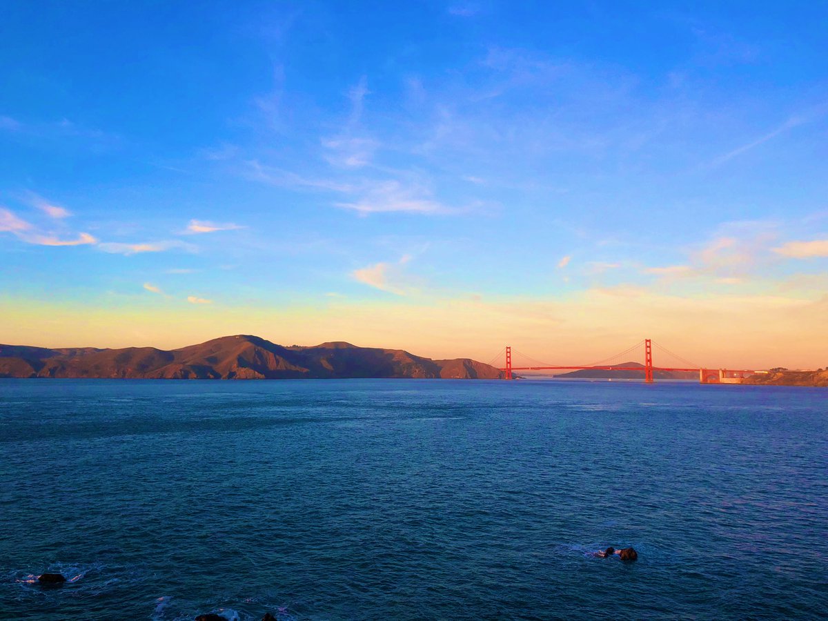 heather_easley's tweet photo. san francisco, california https://t.co/FPqVJhpoCi