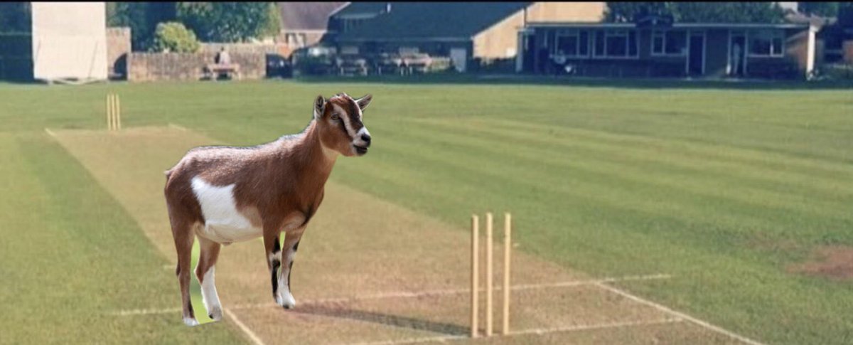 Mousey_MrFun's tweet photo. Happy birthday to my bro @Atkinson98 #goat @KillinghallCC https://t.co/hDWjWKUfnZ