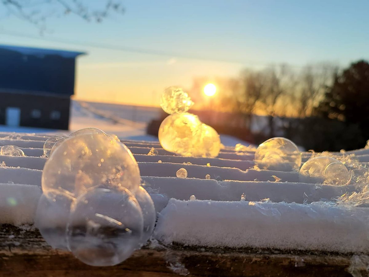 CarmenBillick's tweet photo. Kids and I were blowing bubbles this morning and watching them freeze https://t.co/wRjrKevfgj
