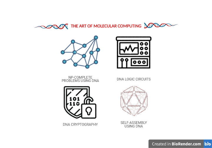 karthikraman's tweet image. Next is an excellent deep & systematic overview of molecular computing, mapping out a wide array of literature on this exciting topic: arxiv.org/abs/2102.06629 Fantastic work by @raga_sahana - another star from one of the best batches of undergrads @iitmbt 👏👏 #dnacomputing