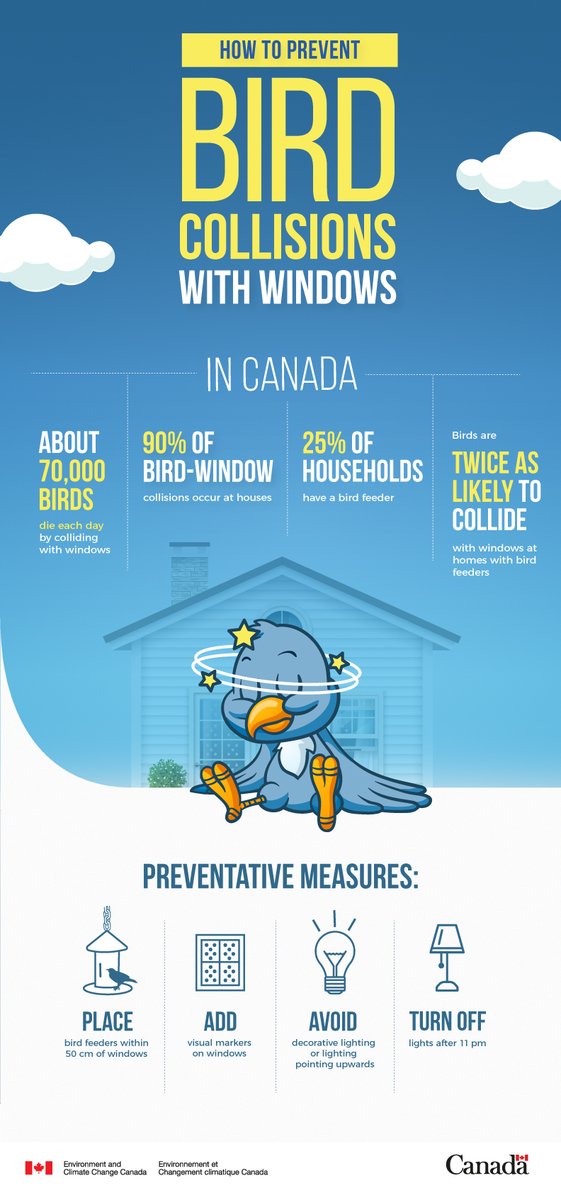 In Canada, thousands of #birds die every day from colliding with a window. 

Find out how to protect them by visiting our new web page on the topic. ow.ly/mZcL50DyLWY